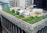 Green Roofs and Urban Heat